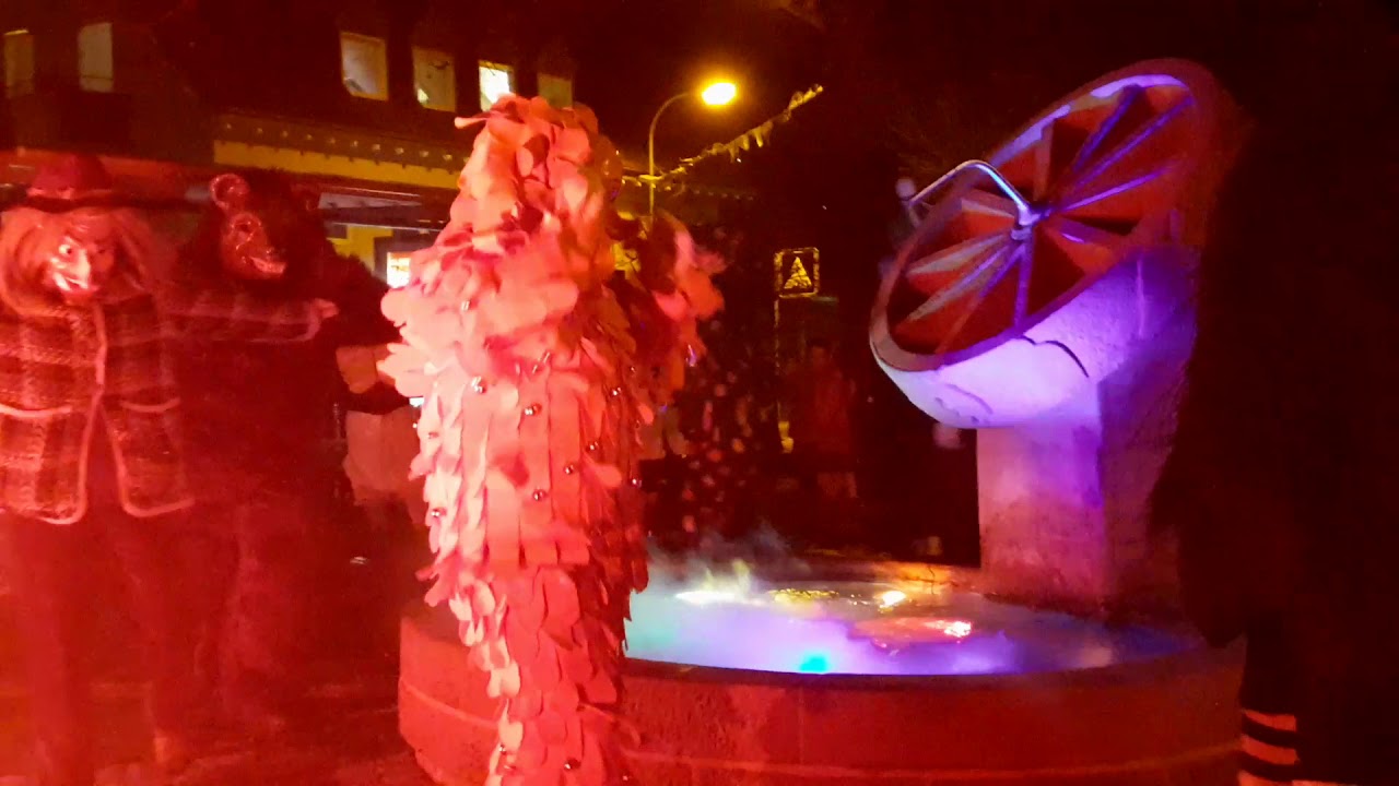 Buurefasnacht Hauingen 2020/Narrendorf/Adrülle