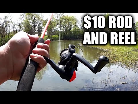 Catching More Fish on the $10 Combo! Cheap Spinning Rod and Reel 