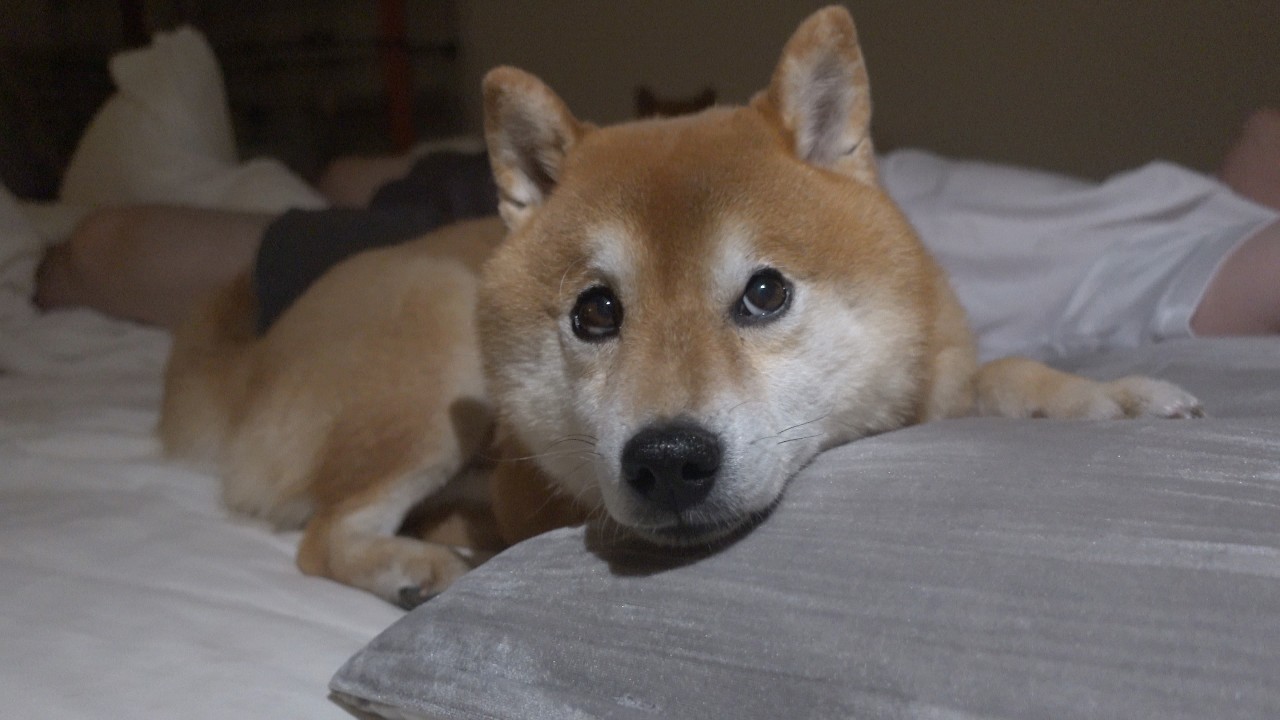 寝室で起きた優しい出来事に涙が出ました。