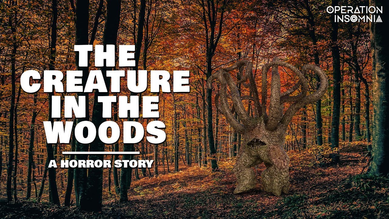 The Creature In The Woods Forest Horror Story Scary Stories Missing Person YouTube