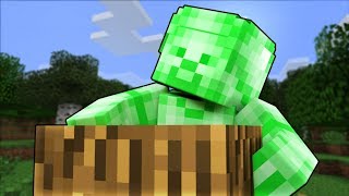 Minecraft Hide N Go Green Steve!