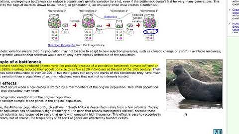 Ch 11.2-11.4 Evolution and It