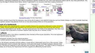Ch 11.2-11.4 Evolution and It's Processes  Mechanisms and Evidence of Evolution, Speciation