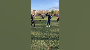 Relaxing in a tree of happiness Trinity tune in to unity