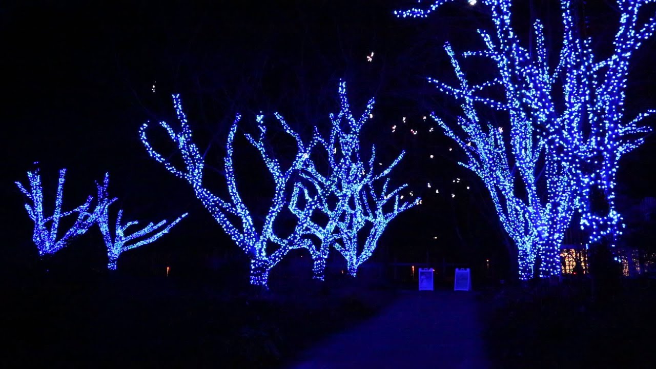 Meadowlark Winter Walk of Lights - YouTube