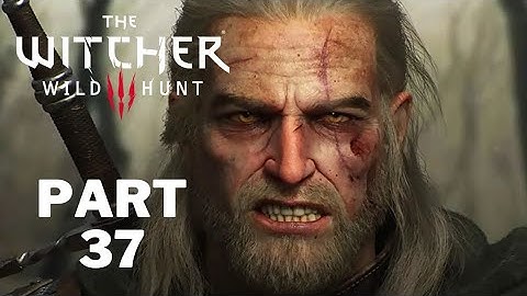 The Witcher 3: Wild Hunt - Count Reuven