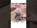 プレイヤーの行動を見越していた開発陣