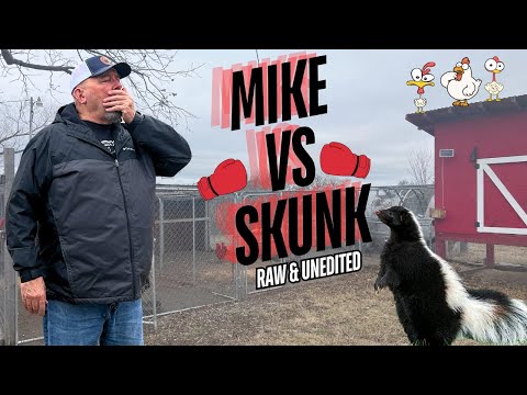Mike VS Skunk Raw and Unedited