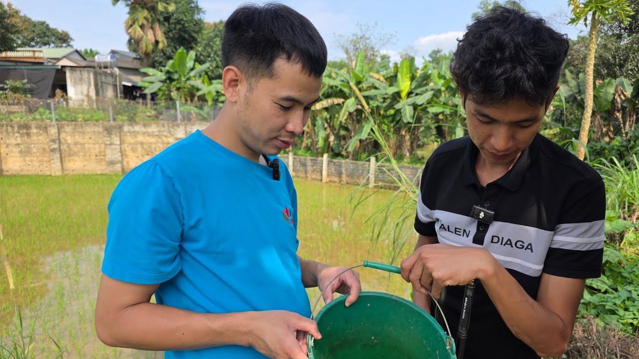 Câu Cá Rô Đồng Giải Trí Giảm Căng Thẳng Mệt Mỏi Và Sự Trở Lại Của Lưu Hậu - Giải Mã Giấc Mơ