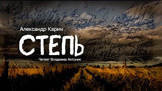 «Степь». Александр Карин. Из цикла "Цыганские сказки". Аудиокнига. Читает Владимир Антоник