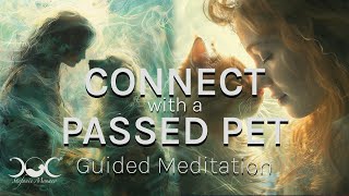 Connect with Passed Pet Guided Meditation