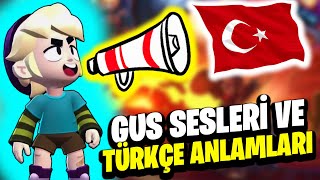 Spike HAYRANI Savaşçı 📣 Gus SESLERİ ve TÜRKÇE ANLAMLARI - Brawl Stars Resimi