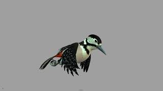 Bird Fly Cycle || Software- MAYA 15 screenshot 5