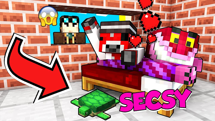 SPIO STRE E CICO CHE SI FANNO LE COCCOLE SU MINECRAFT!!