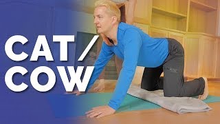 How To Do Cat Cow Pose: Yoga Pose Breakdown For Beginners