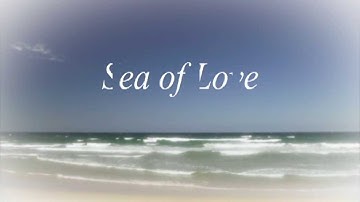 映画「Sea of Love～いとしまに魅せられて～」 予告編