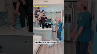 Anwar dog #anwar #adamw