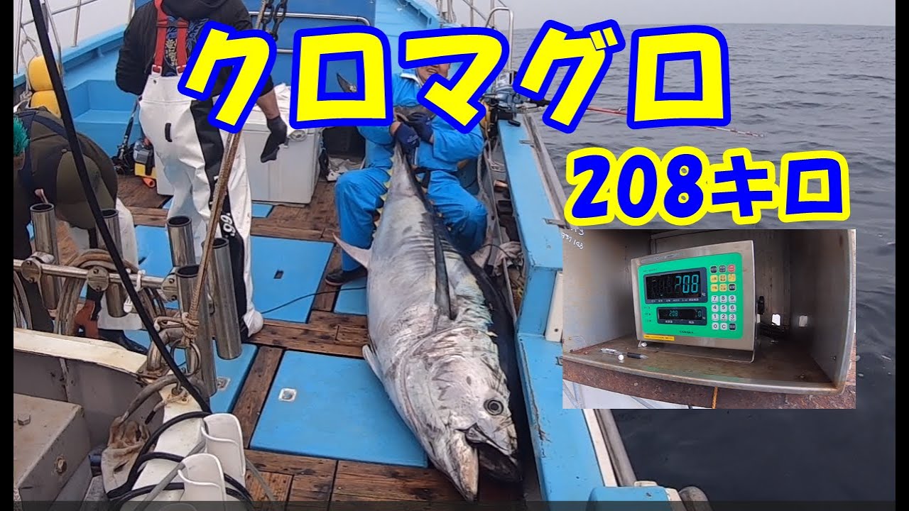 【クロマグロ】200キロオーバーのモンスター取り込み時がヤバすぎる！