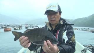 【いつでも釣り気分！】#203 高知県宿毛湾　中切テクニックで未開拓エリアのチヌを攻略