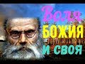 Воля Божия и своя. Вера в Бога - Игумен Никон (Воробьев)