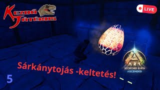 Ark: Scorched Earth Ascended 5.rész - Sárkánytojás-keltetés! - Kezdő-Live