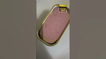 Https Vt Tiktok Com ZSAR4Dw44 Luncheonmeat Youtubeshorts Trending Justtriedit 