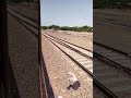 Jaisalmer tour   pakistan border   viral vlogs subscribe lekhraj
