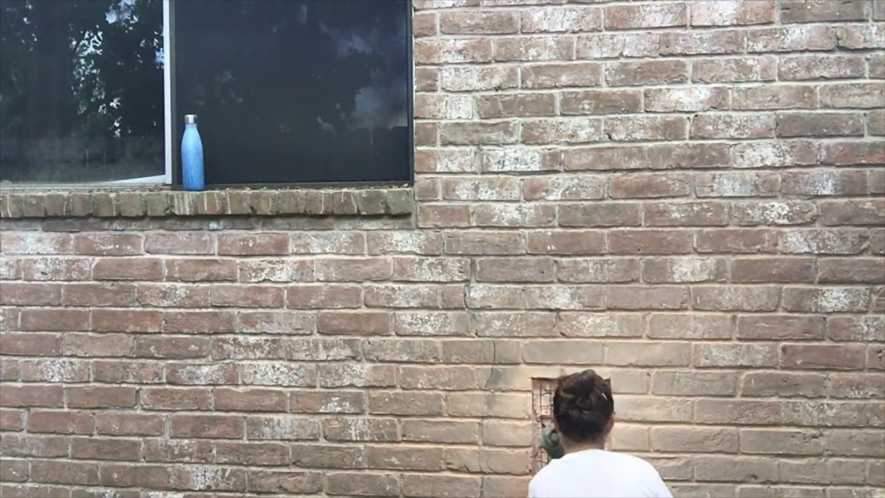 Doggie Door Through Brick Install YouTube