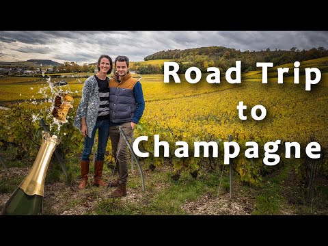 Road trip to Champagne (France) 🍾🍾🍾