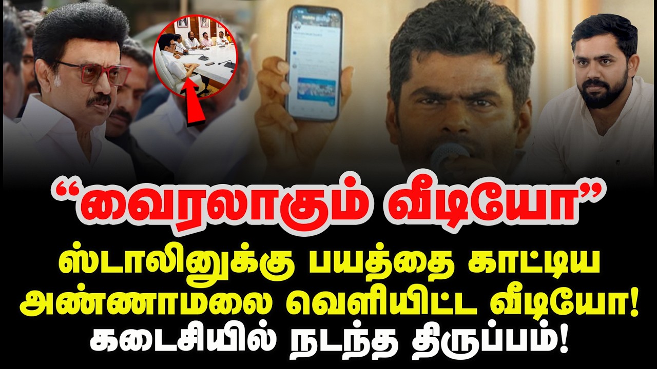 ஒரே வீடியோவில் மொத்த திமுக கதையையும் முடித்த அண்ணாமலை! வைரலாகும் வீடியோ! Vijay Chinnasamy