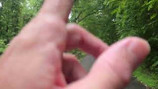 What the Flock! Cameras on Trail :( Guide