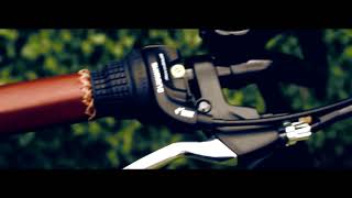 Dirodi Classimo Electric Bike