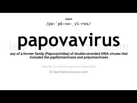Video: SsDNA вирустары кантип көбөйөт?