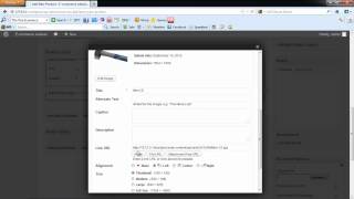 How to install an E-commerce website on WordPress