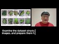 Crop Disease Detection Using TensorFlow | Part IV: Dataset Preparation and CNN Model Training