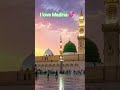 I love Madina 💕#naat #love #madina #islamic #shorts