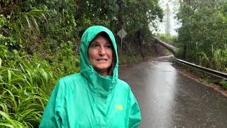 Lala knocks out power downs trees in Hawaii