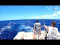 Offshore fishing in hawaii charter fishing oahu