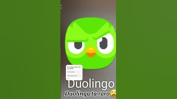 Duolingo? @duolingo #memes #duolingo #shorts