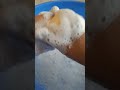 FOAMING SOAP AND JUST ENJOY #soapcarving #asmr #foam