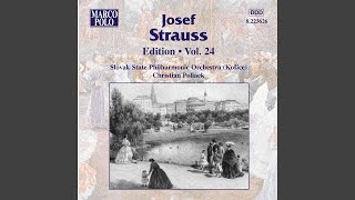 Blitz, Op. 106: Blitz-Polka, Op. 106