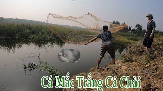 Trưa Nắng Anh Em Tranh Thủ Đi Quăng Chài Cải Thiện Bữa Ăn...