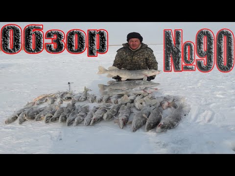 Рыбалка в Казахстане/Обзор с рыбных мест №90/Декабрь 2019/Первый лёд