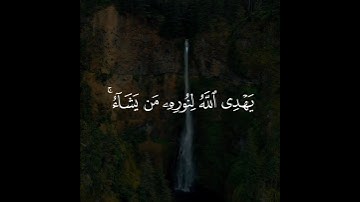 حالات واتس اب قران كريم ❤️ راحة نفسية