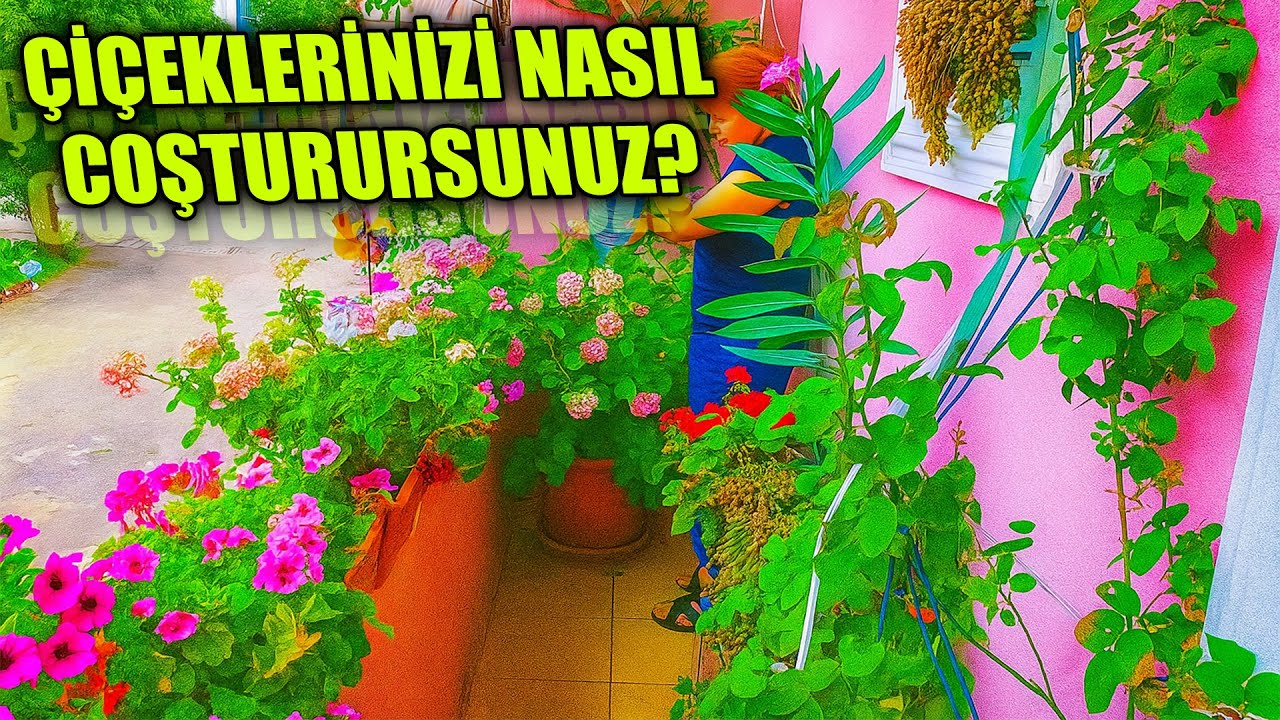 ÇİÇEKLERİNİZİ BÖYLE COŞTURUN!! 20/20 GÜBRESİ - GÜR VE CANLI ÇİÇEK İSTEYENLER İÇİN!