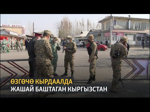 Video: Россияда өзгөчө кырдаалды кантип каттоого болот