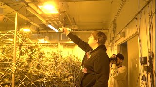 INSANE GROW TOUR WITH THE HOMIE GOBLIN