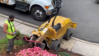 Remote Control Stump Grinder and Hole Digger