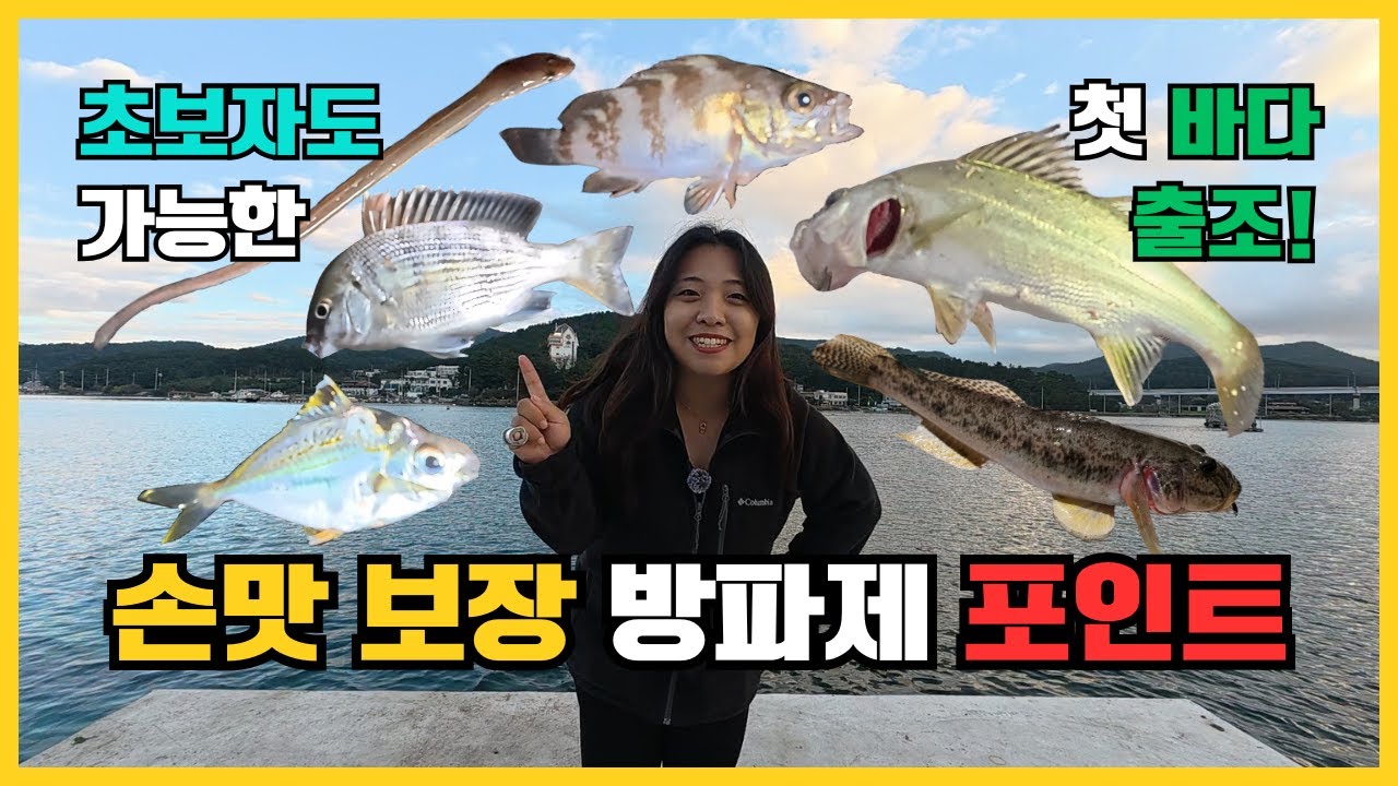 초보자도 가능한 생활낚시 방파제 포인트! 손맛 보장!