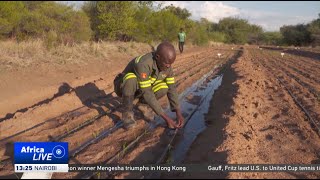 Botswana rice farmers welcome drought-resistant varieties from China